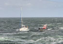 Lotte, Amrum