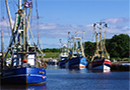 Mitten in der Saion wird der Friedrichskooger Hafen endgültig geschlossen